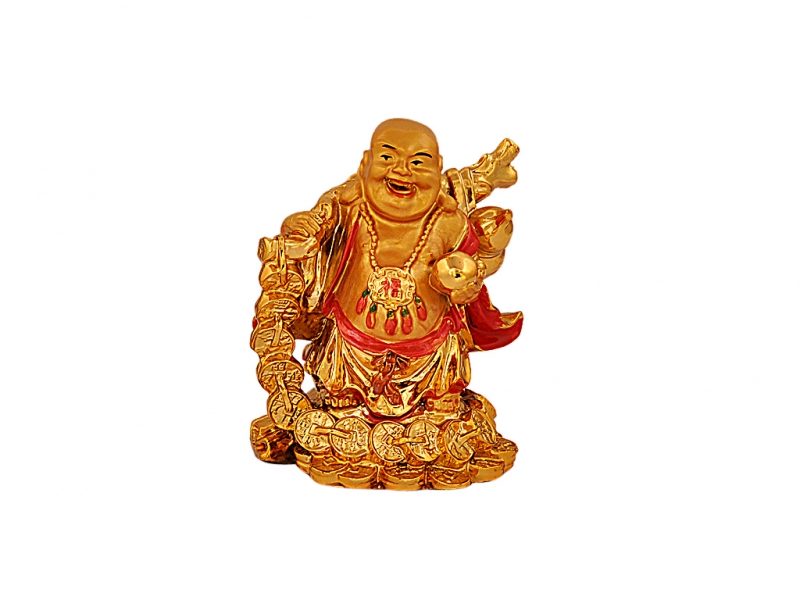 Buy genuine Resin Buddha standing on coin with back potli for Money,  Prosperity, Good Luck Online at affordable price on 